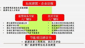 數字賦能，智繪菜鄉 環球軟件以數字科技驅動智慧壽光建設新篇章